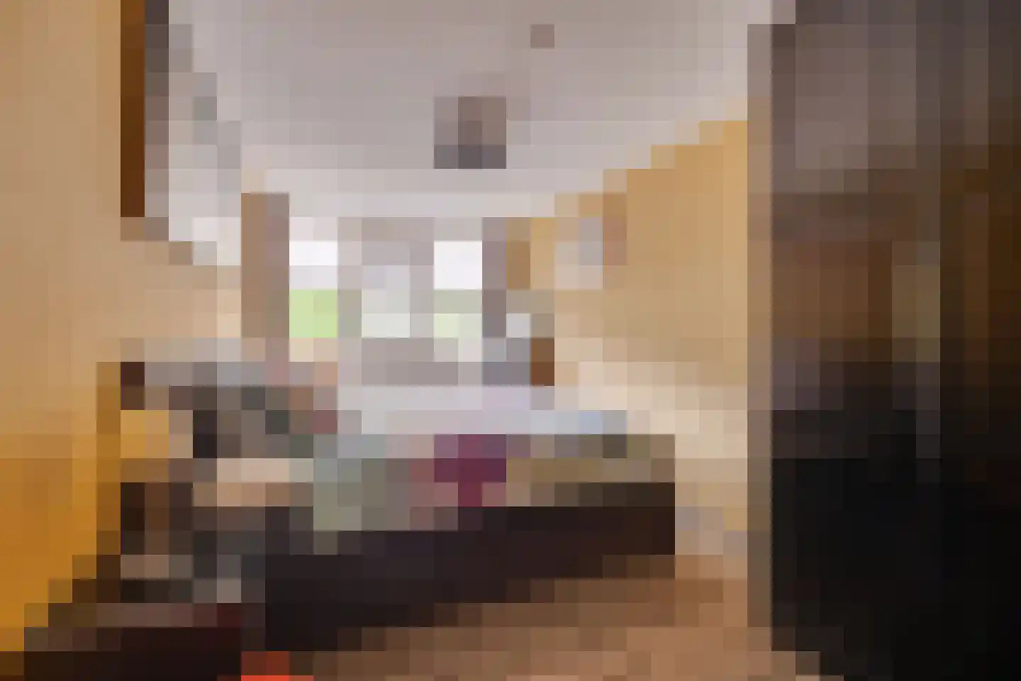 Scheerdersdonk 403 Apeldoorn thumbnail 13