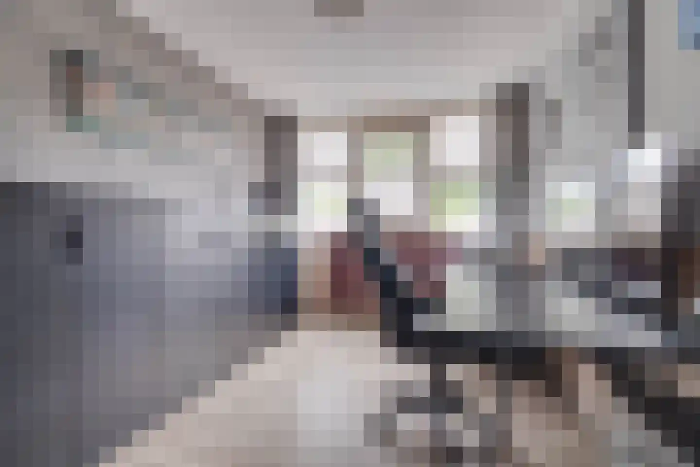 Scheerdersdonk 403 Apeldoorn thumbnail 15