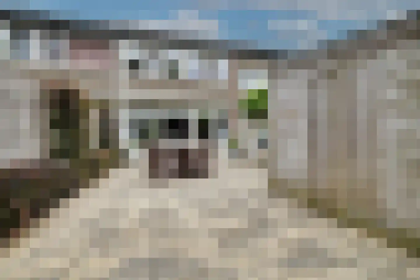 Scheerdersdonk 403 Apeldoorn thumbnail 25