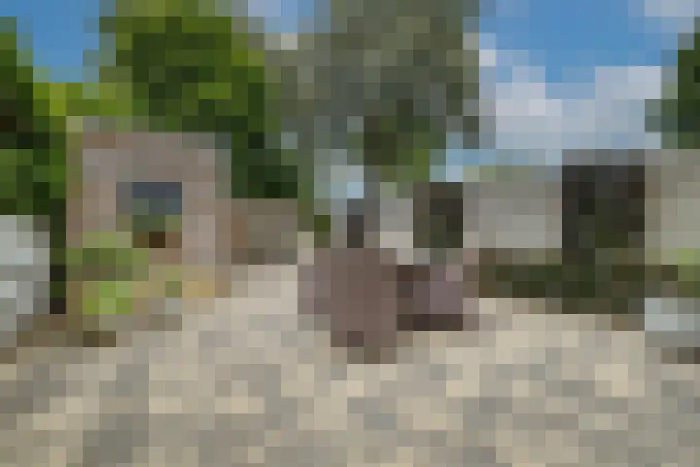Scheerdersdonk 403 Apeldoorn thumbnail 26