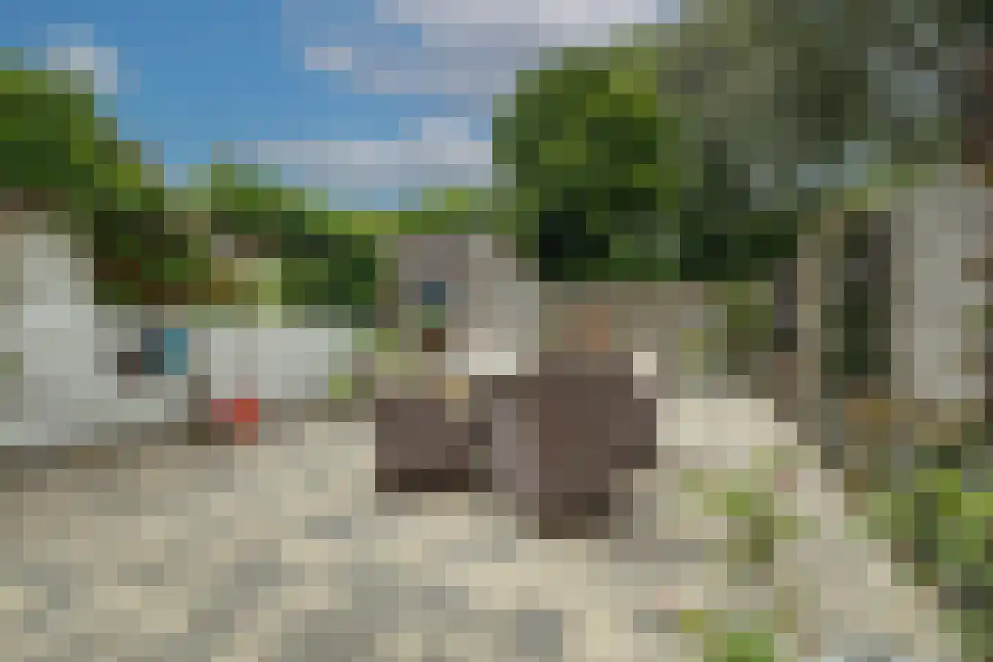 Scheerdersdonk 403 Apeldoorn thumbnail 27