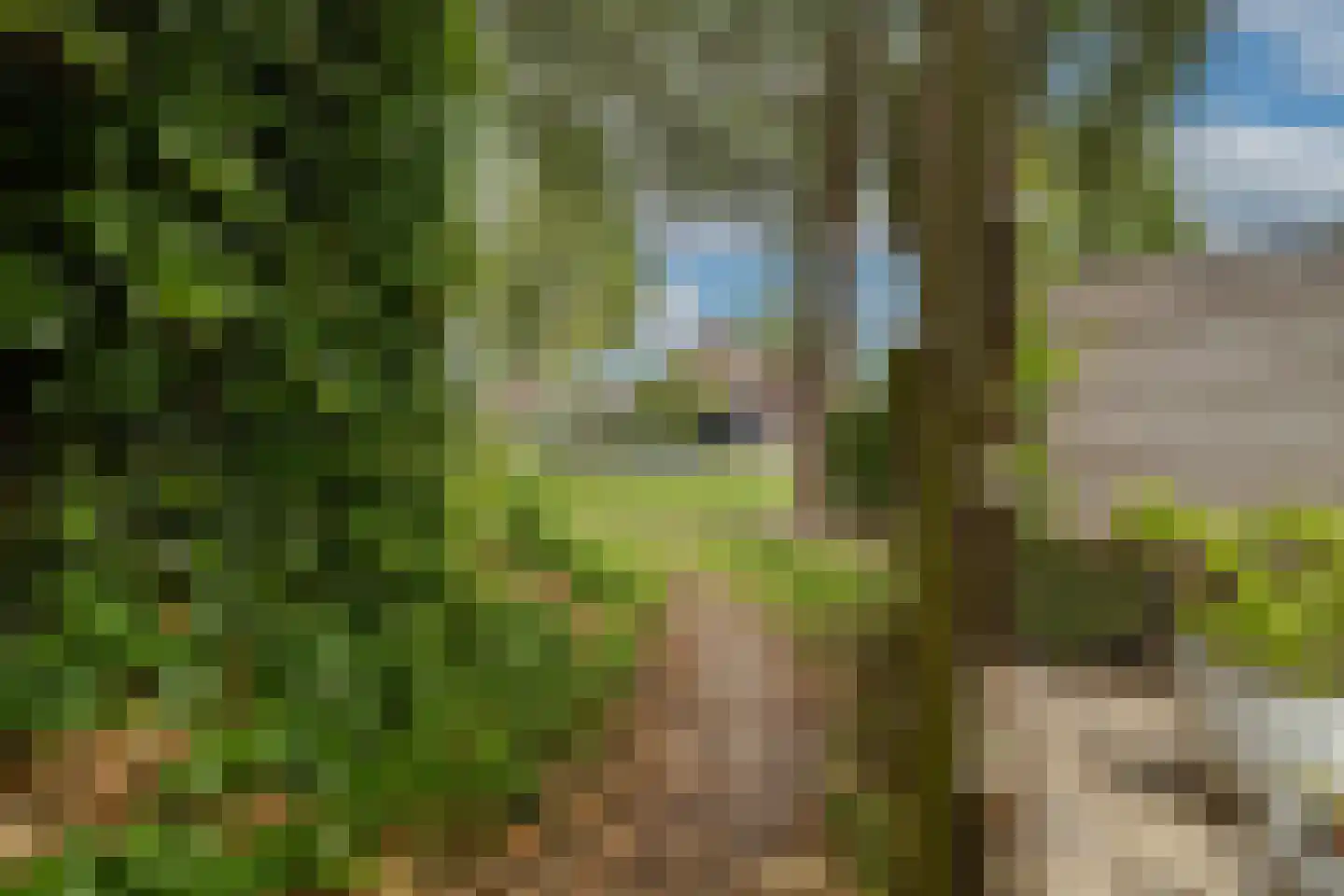 Scheerdersdonk 403 Apeldoorn thumbnail 28