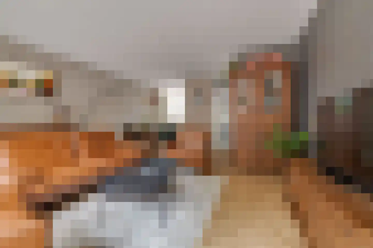 Scheerdersdonk 403 Apeldoorn thumbnail 4