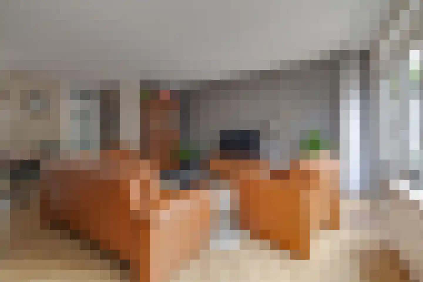 Scheerdersdonk 403 Apeldoorn thumbnail 5