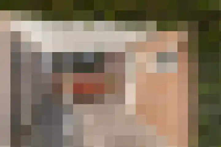 Scheerdersdonk 404 Apeldoorn thumbnail 13
