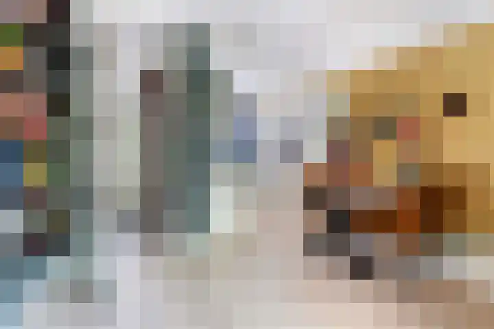 Scheerdersdonk 404 Apeldoorn thumbnail 15