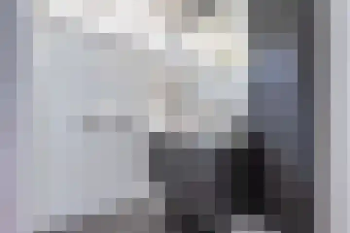 Scheerdersdonk 404 Apeldoorn thumbnail 28