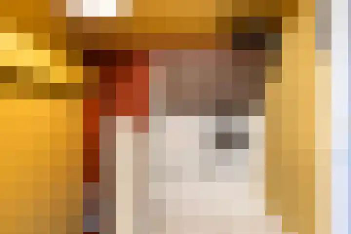 Scheerdersdonk 404 Apeldoorn thumbnail 31