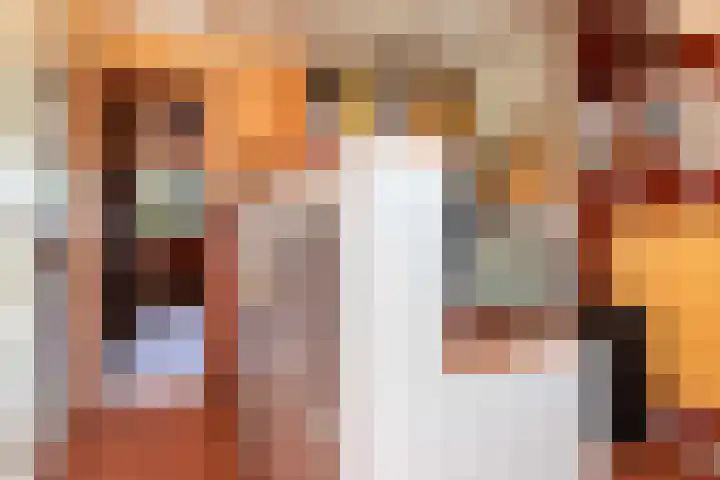 Scheerdersdonk 404 Apeldoorn thumbnail 33