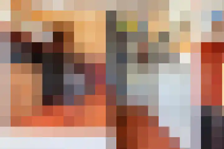 Scheerdersdonk 404 Apeldoorn thumbnail 34