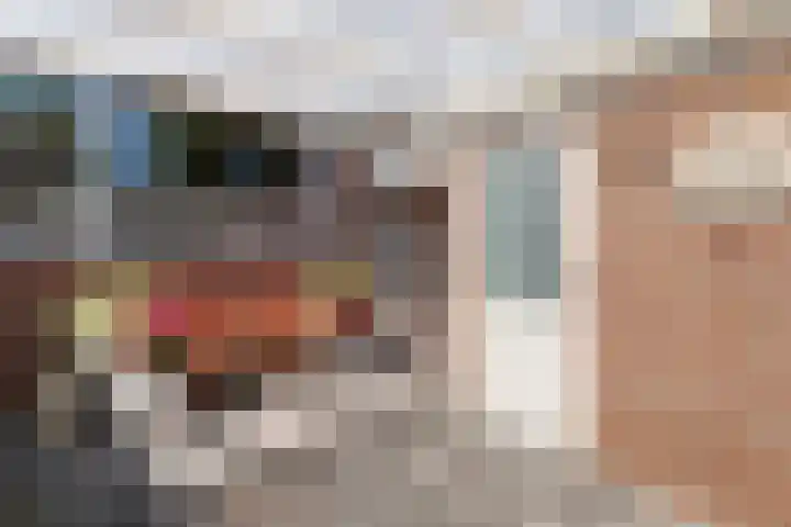 Scheerdersdonk 404 Apeldoorn thumbnail 37