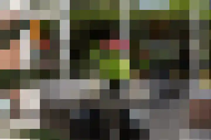 Scheerdersdonk 404 Apeldoorn thumbnail 39