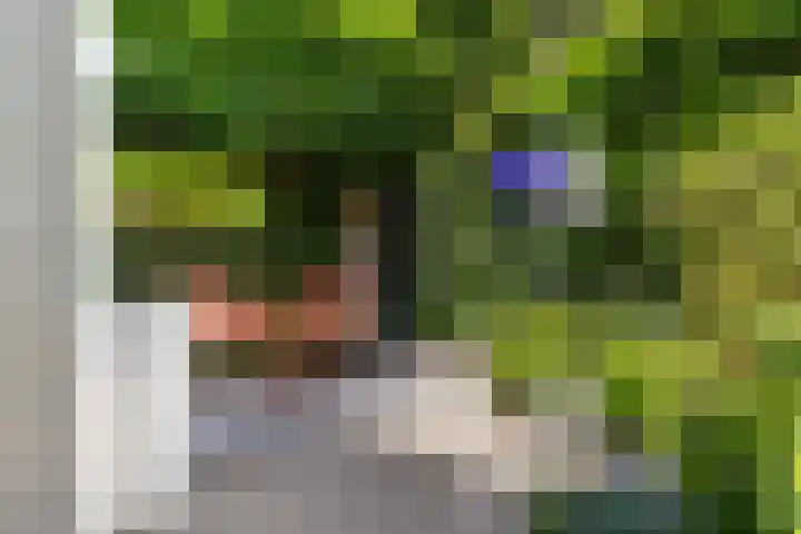 Scheerdersdonk 404 Apeldoorn thumbnail 40