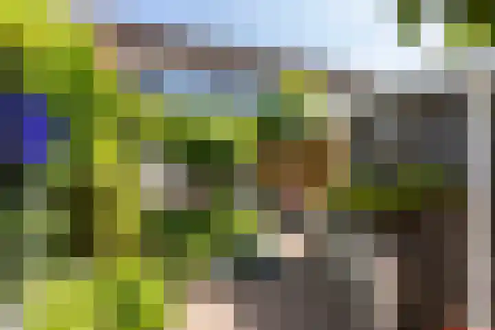 Scheerdersdonk 404 Apeldoorn thumbnail 41