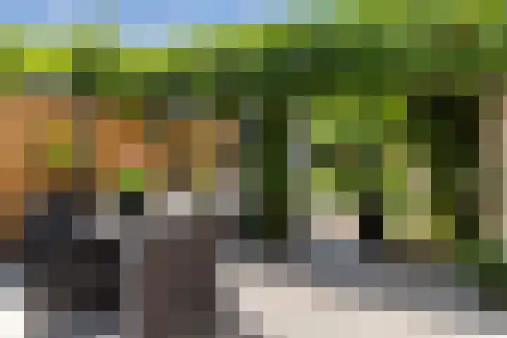 Scheerdersdonk 404 Apeldoorn thumbnail 42