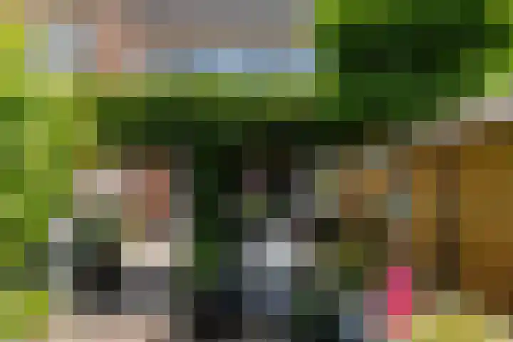 Scheerdersdonk 404 Apeldoorn thumbnail 43