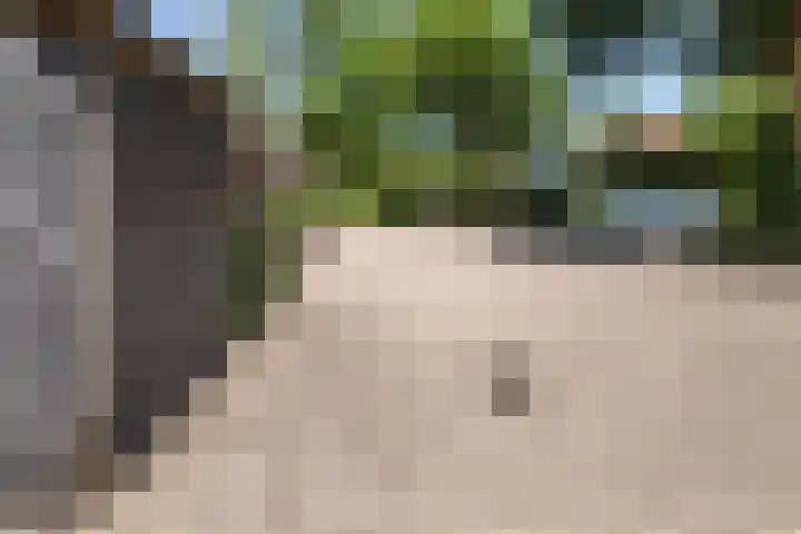 Scheerdersdonk 404 Apeldoorn thumbnail 45