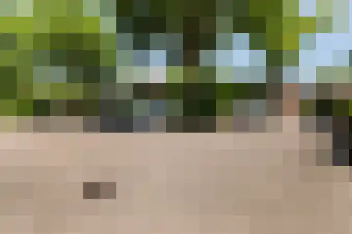 Scheerdersdonk 404 Apeldoorn thumbnail 46