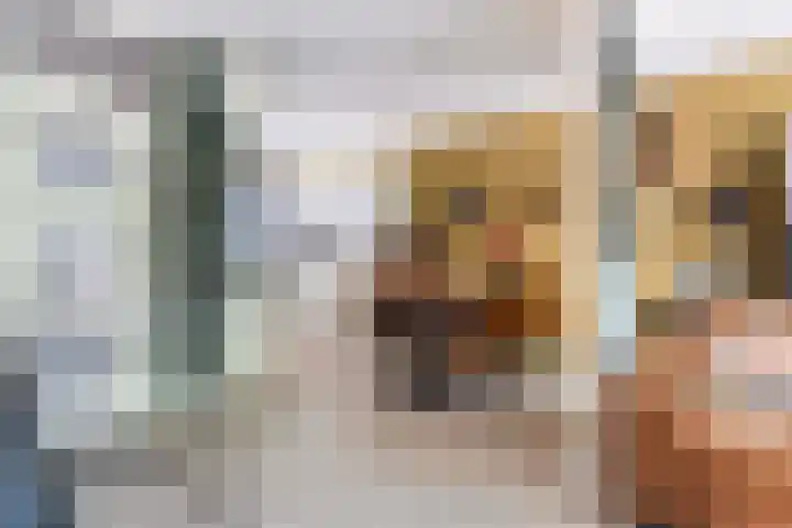 Scheerdersdonk 404 Apeldoorn thumbnail 6