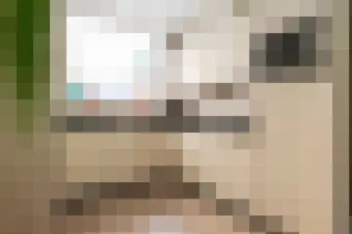 Scheerdersdonk 709 Apeldoorn thumbnail 10