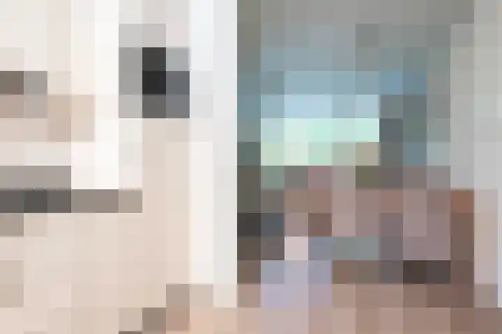 Scheerdersdonk 709 Apeldoorn thumbnail 11