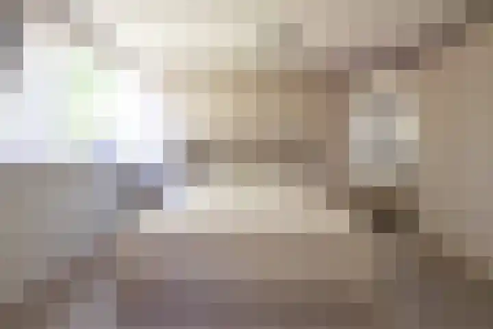 Scheerdersdonk 709 Apeldoorn thumbnail 14