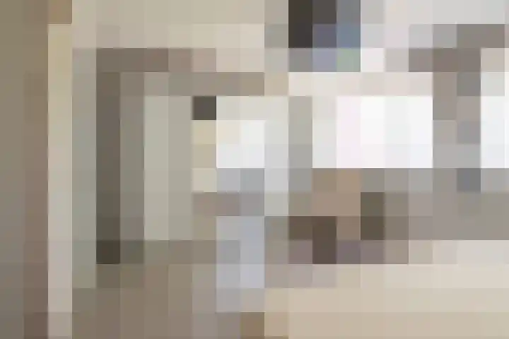 Scheerdersdonk 709 Apeldoorn thumbnail 15