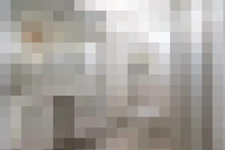 Scheerdersdonk 709 Apeldoorn thumbnail 18