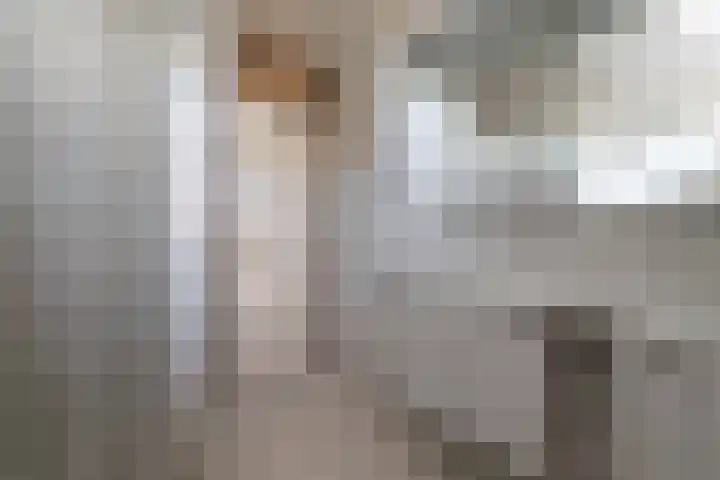 Scheerdersdonk 709 Apeldoorn thumbnail 19