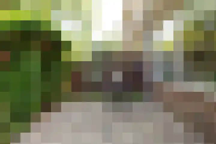 Scheerdersdonk 709 Apeldoorn thumbnail 24