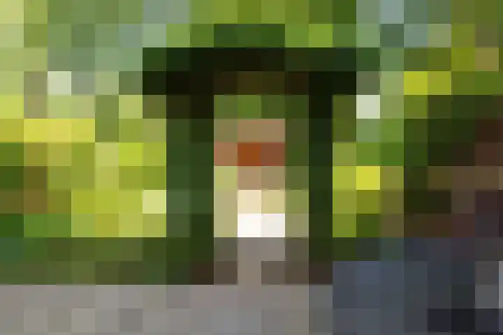 Scheerdersdonk 709 Apeldoorn thumbnail 25