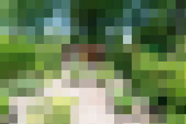 Scheerdersdonk 709 Apeldoorn thumbnail 26