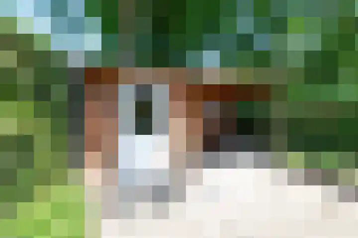 Scheerdersdonk 709 Apeldoorn thumbnail 27