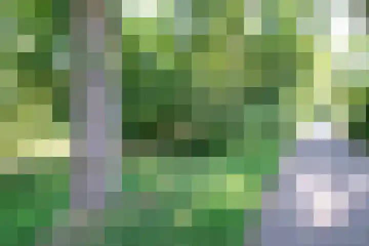 Scheerdersdonk 709 Apeldoorn thumbnail 28