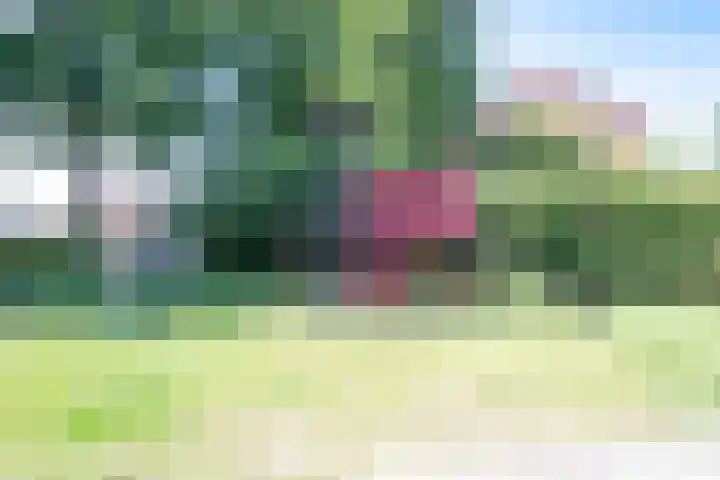 Scheerdersdonk 709 Apeldoorn thumbnail 29