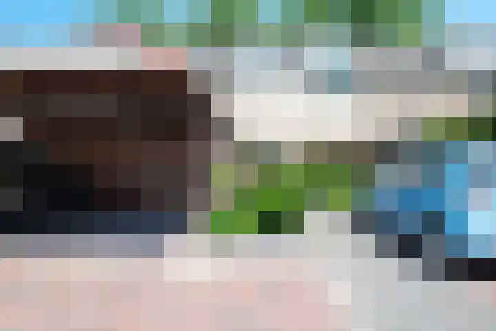Scheerdersdonk 709 Apeldoorn thumbnail 30