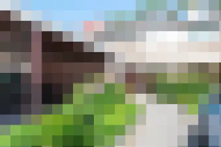 Scheerdersdonk 709 Apeldoorn thumbnail 4