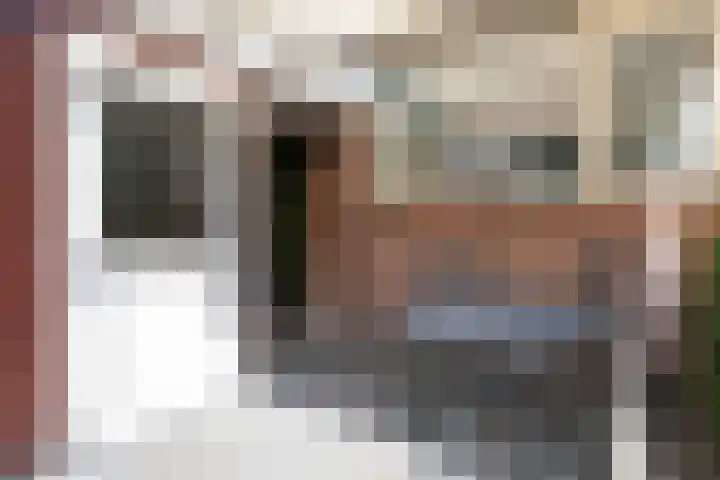 Scheerdersdonk 709 Apeldoorn thumbnail 5