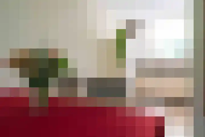 Scheerdersdonk 709 Apeldoorn thumbnail 9