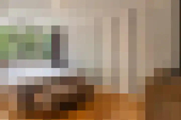Scheerdersdonk 713 Apeldoorn thumbnail 13