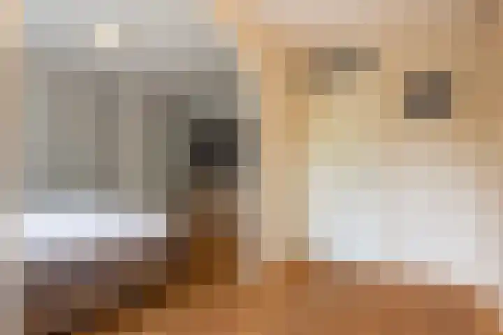 Scheerdersdonk 713 Apeldoorn thumbnail 14