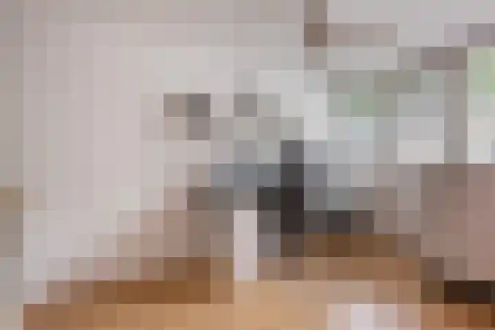 Scheerdersdonk 713 Apeldoorn thumbnail 16