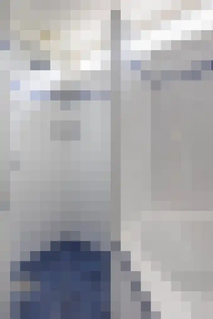 Scheerdersdonk 713 Apeldoorn thumbnail 18