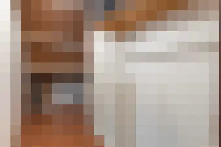 Scheerdersdonk 713 Apeldoorn thumbnail 24
