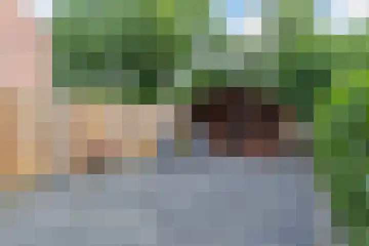 Scheerdersdonk 713 Apeldoorn thumbnail 25