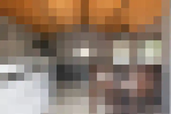 Scheerdersdonk 713 Apeldoorn thumbnail 26