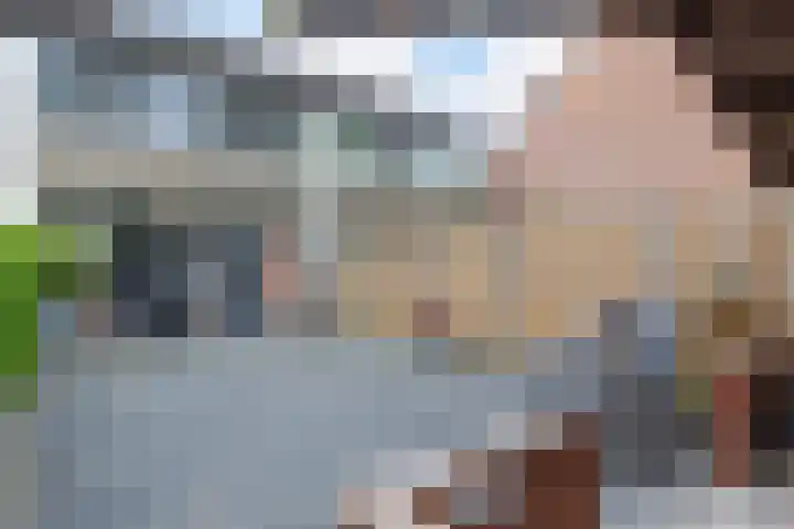 Scheerdersdonk 713 Apeldoorn thumbnail 27