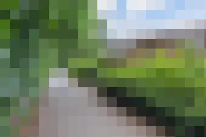 Scheerdersdonk 713 Apeldoorn thumbnail 28