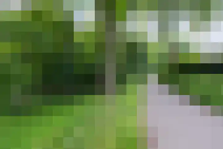 Scheerdersdonk 713 Apeldoorn thumbnail 29