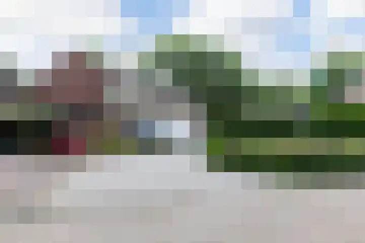 Scheerdersdonk 713 Apeldoorn thumbnail 33